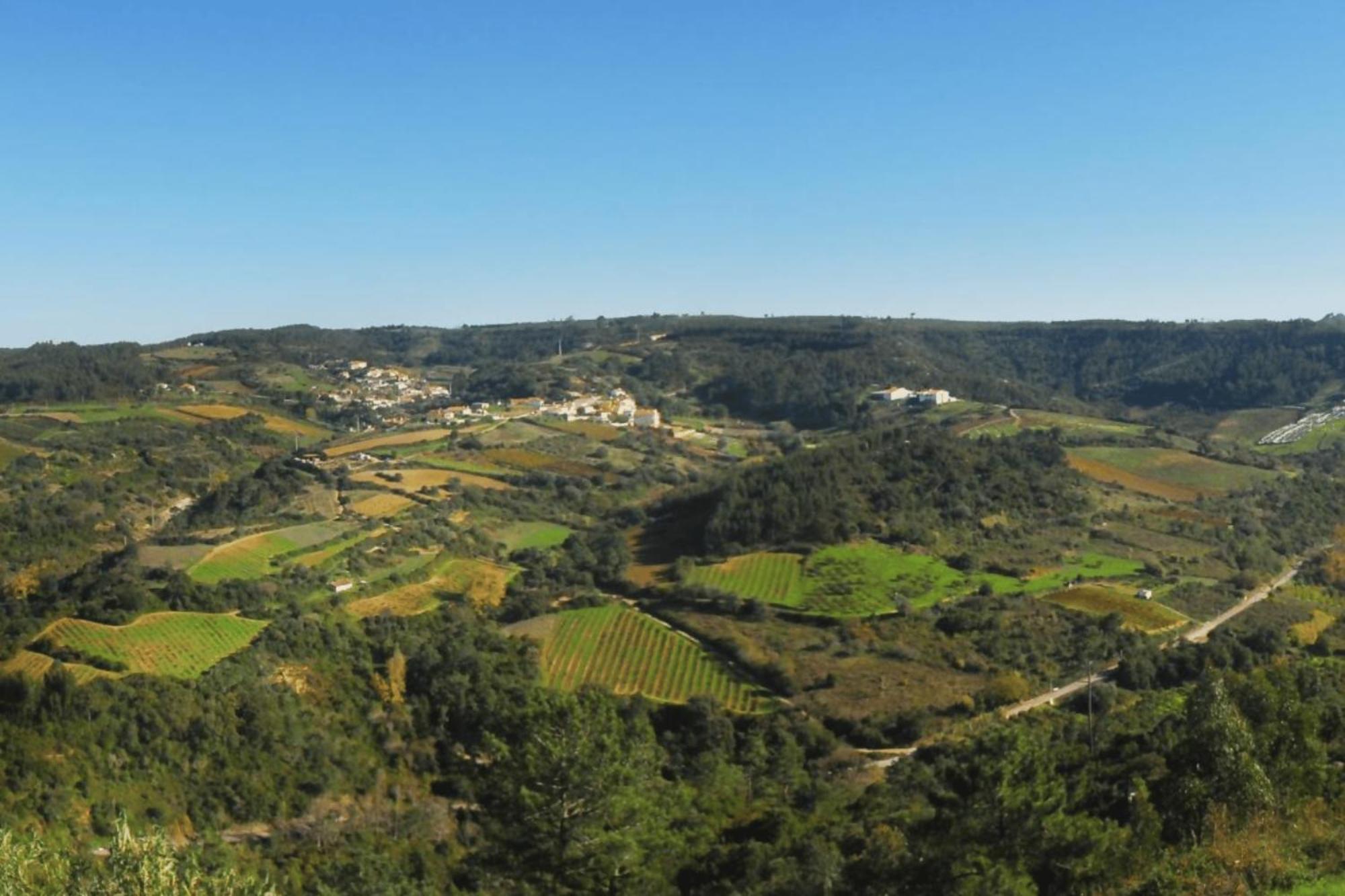 Casas Da Tia Alice - Casas De Campo Encantadoras Em Mafra Exterior foto